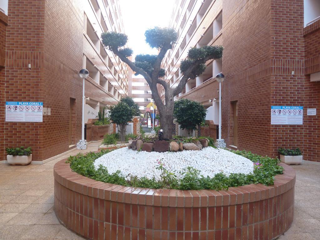 奥罗佩萨德尔马Playa Coral En Marina D'Or公寓 外观 照片
