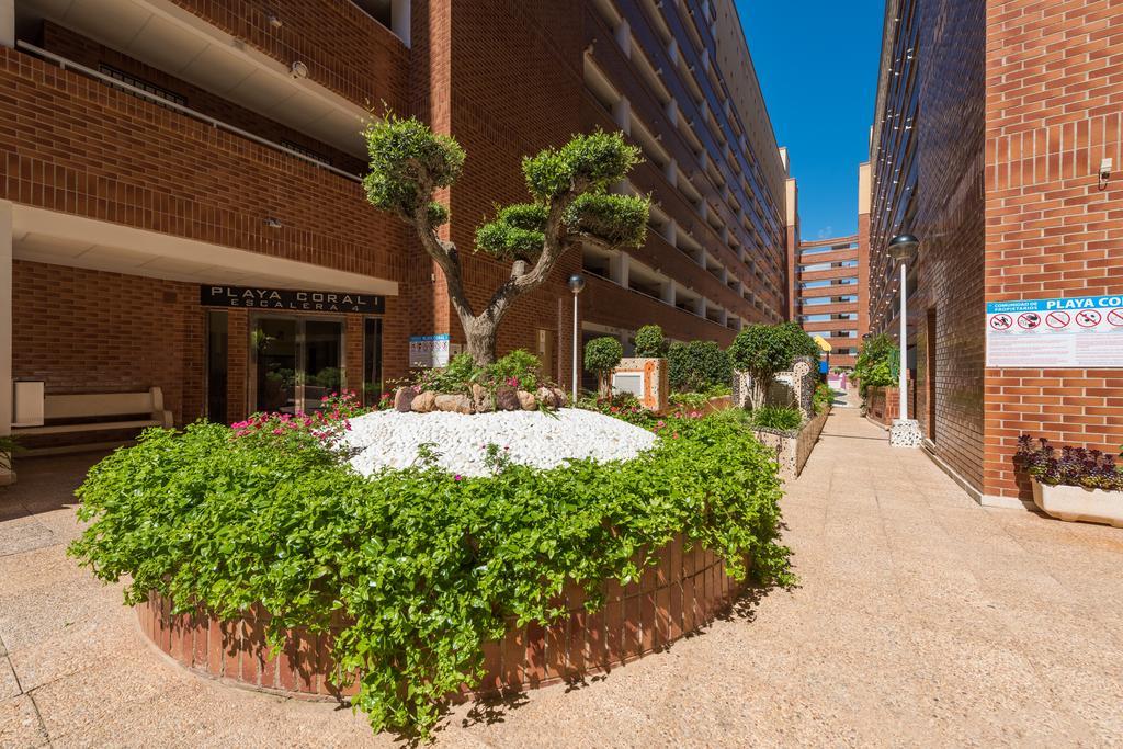 奥罗佩萨德尔马Playa Coral En Marina D'Or公寓 外观 照片